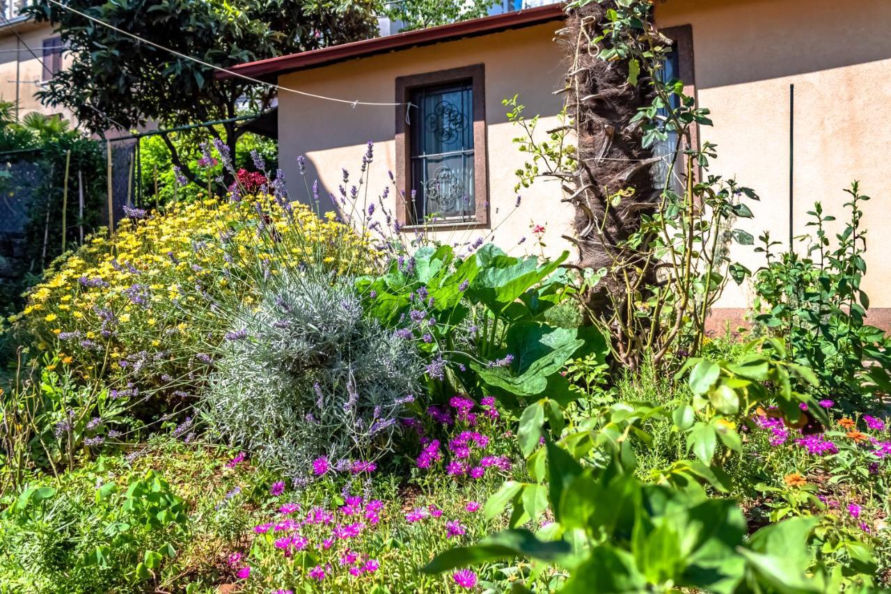 فيلا Little Garden House غييكا المظهر الخارجي الصورة
