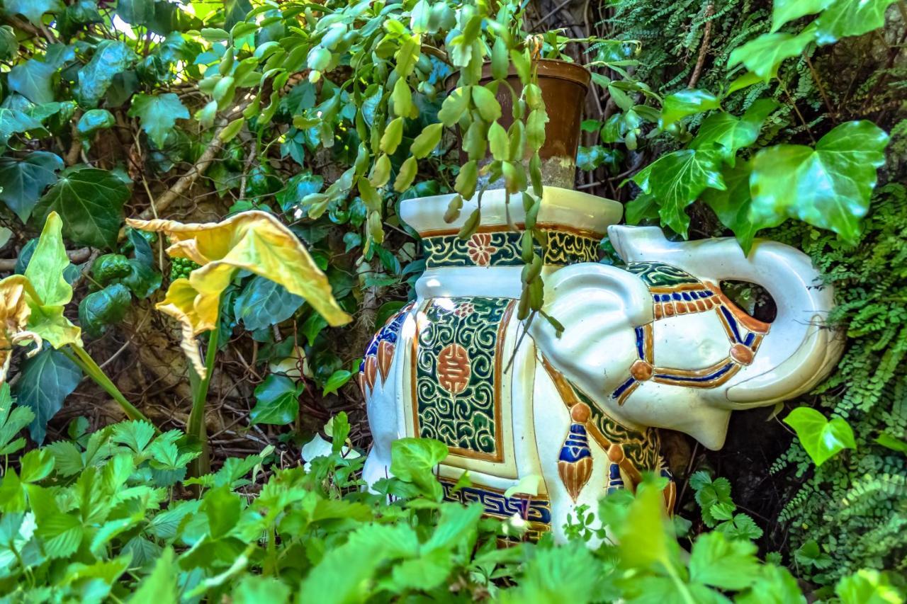 فيلا Little Garden House غييكا المظهر الخارجي الصورة