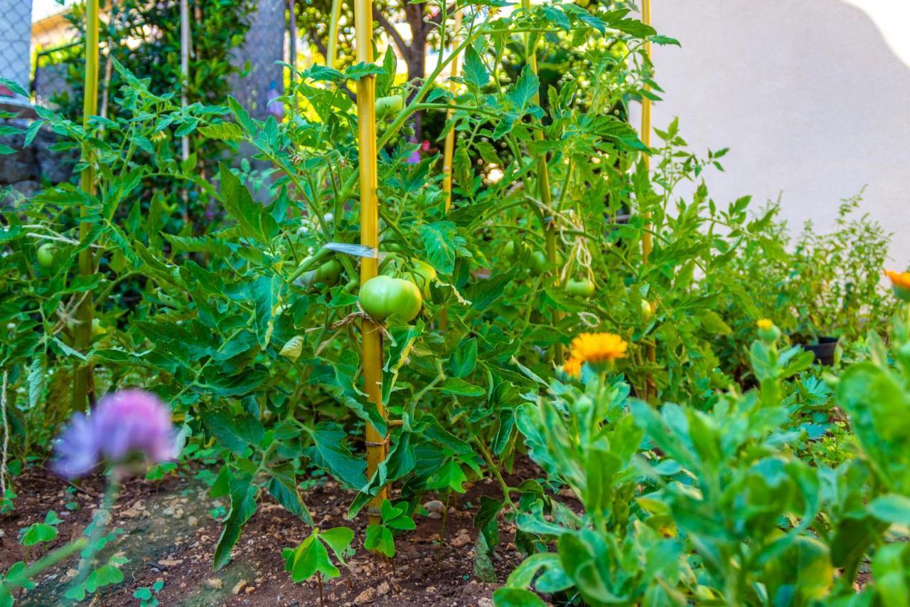 فيلا Little Garden House غييكا المظهر الخارجي الصورة