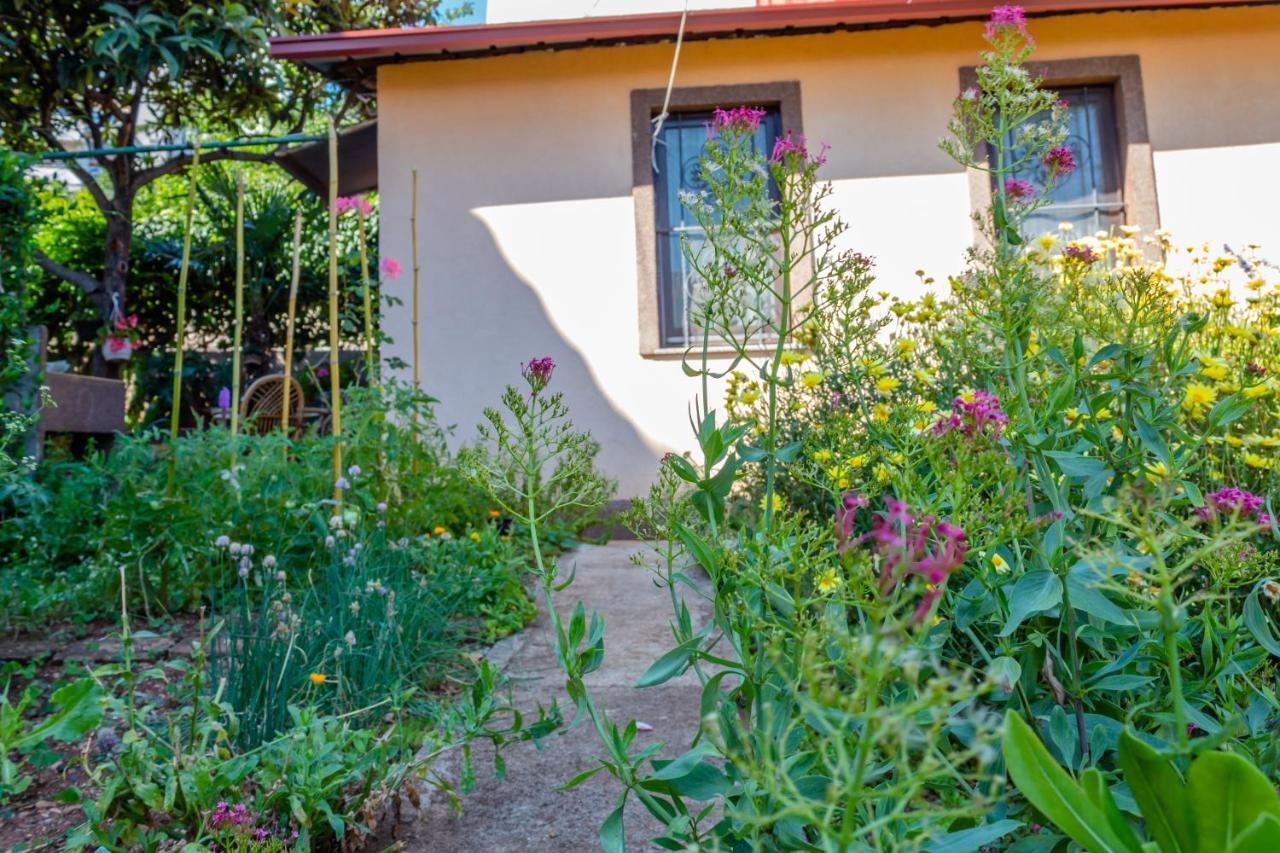 فيلا Little Garden House غييكا المظهر الخارجي الصورة