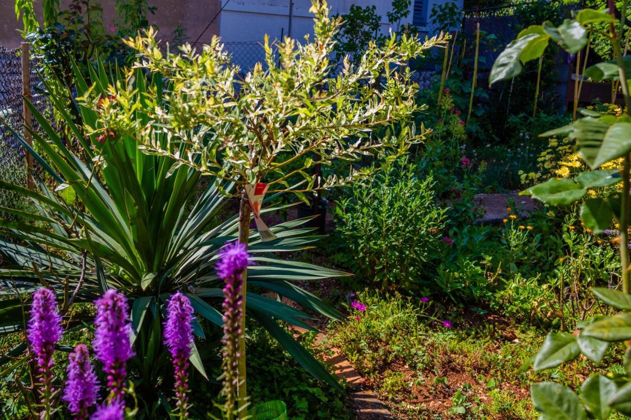 فيلا Little Garden House غييكا المظهر الخارجي الصورة